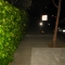 IMG_0370.JPG IMG_0370.JPG