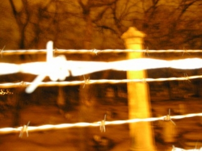 Cemetary Night Vision