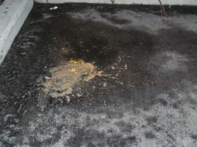 Other, less savory nighttime activitites...