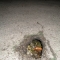 Hole in the street!  Hole in the street!