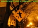 NIGHT PHOTO COVER.jpg