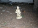Bizarre little guy