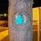 bank tree