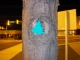 bank tree