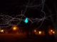 weird grove tree