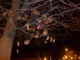 Gym tree