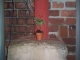 alley flower.JPG