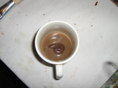 Random fake poo.