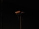 CCTV