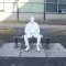 The Man on the bench