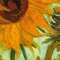 vangogh.jpg