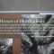 IMGP0056.JPG