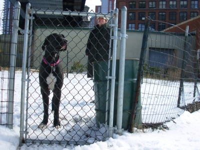 assignment: non-human animal assignment: non-human animal