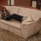 me on a concrete sofa