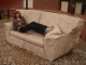 me on a concrete sofa