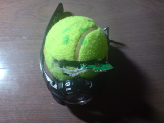 Chomp chomp. Chomp chomp.