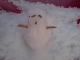 Miniature Snowman