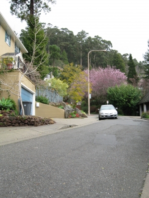 transition: suburbs.