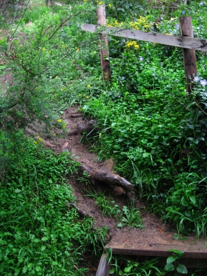 good thing i had my boots.