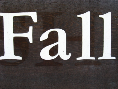 It IS fall.
