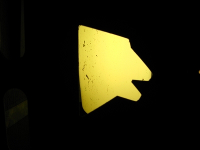 Supposed to be a bear