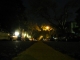 A street of homes.