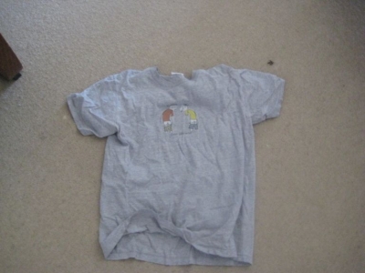 The T Shirt is laid out to meet its fate.