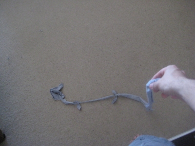 when I had finished cutting the shirt into strips... when I had finished cutting the shirt into strips...