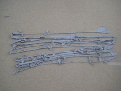 each row here is a metre long...