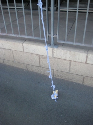 reaching the ground exactly!