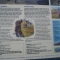 Snowdon info