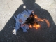 the fire rages on!