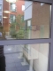 The view.