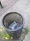 An (almost) empty bin