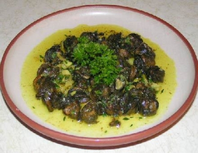 Icky Snails