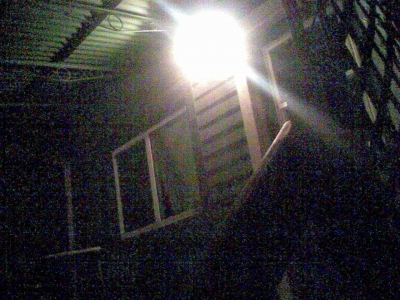 The light is on in the backyard. Probably to ward off trespassers. But I am a moth to the flame.