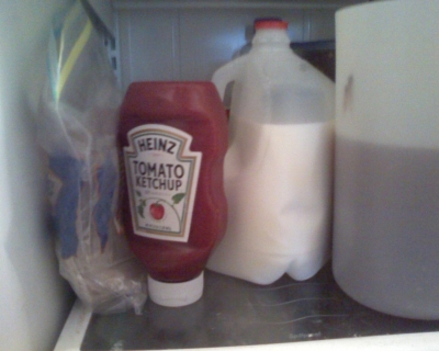 His replacement stands proud, being useful, at the front of the fridge