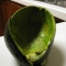 'Cado Shell.JPG