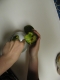 Scoopacado.JPG