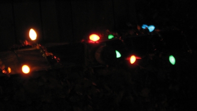 our xmas lights