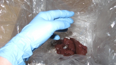 Gloves are always a good idea. 