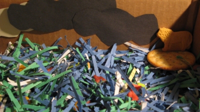 A predator in the shadows