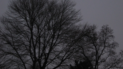 just gray