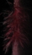scarf edit.jpg