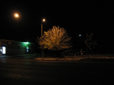 glowy tree