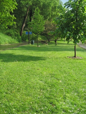 The croquet field