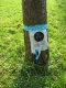 PQ sign