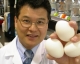 eggs_hold_food_safety_secret.jpg