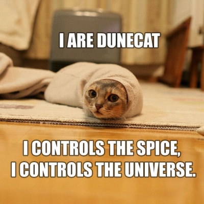 dunecat.jpg dunecat.jpg
