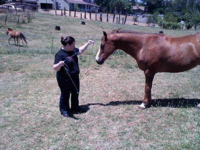 Rose, horsing